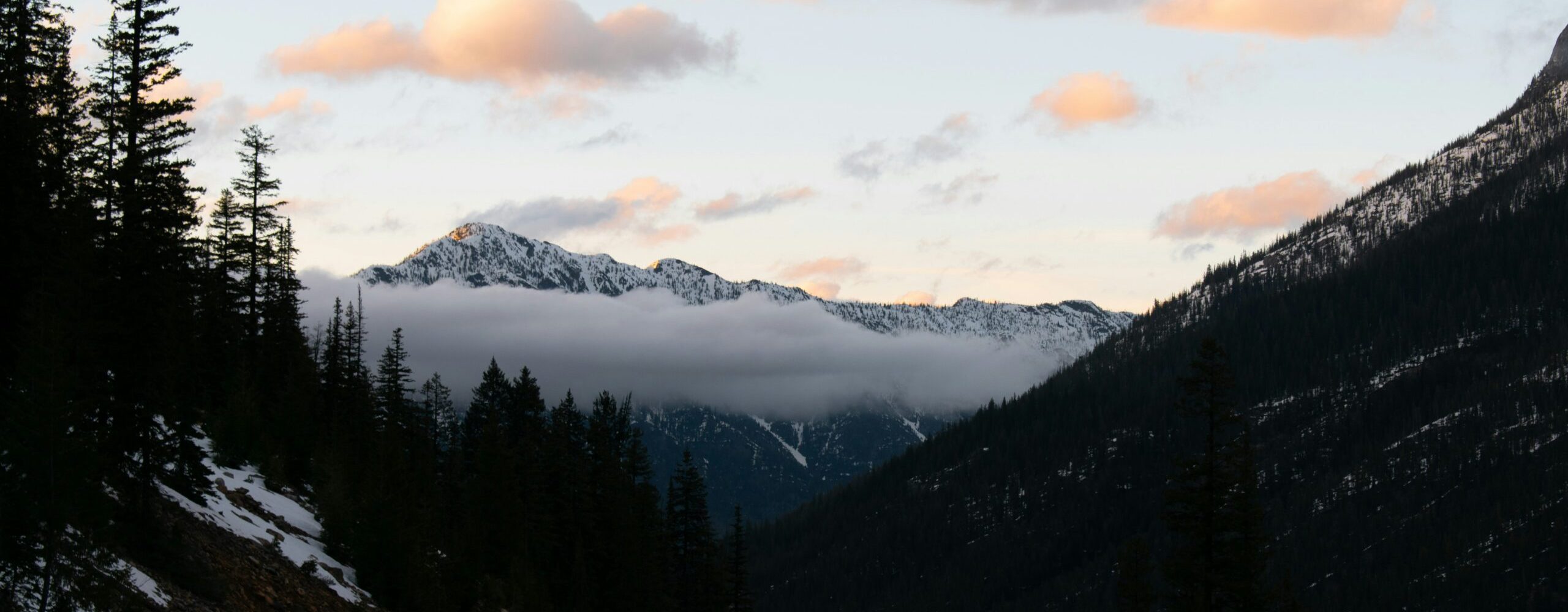 jacob grishey yjzvqei2lzs unsplash